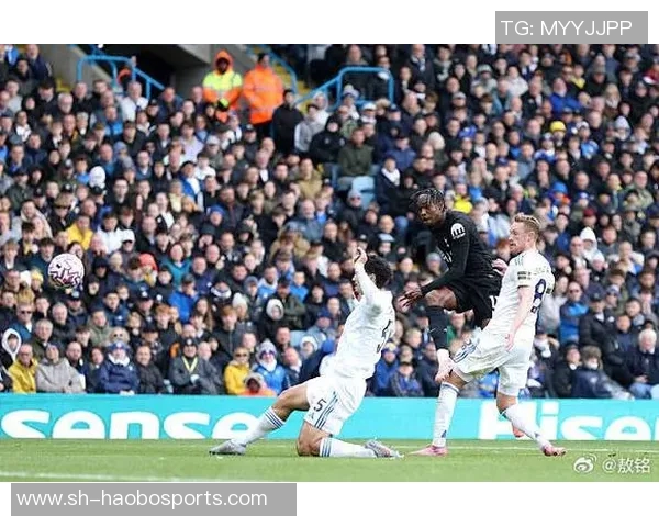 利兹联球迷两度向热刺球员投掷物品或将遭遇高额罚款 利兹联球迷两度向热刺球员投掷物品或将遭遇高额罚款